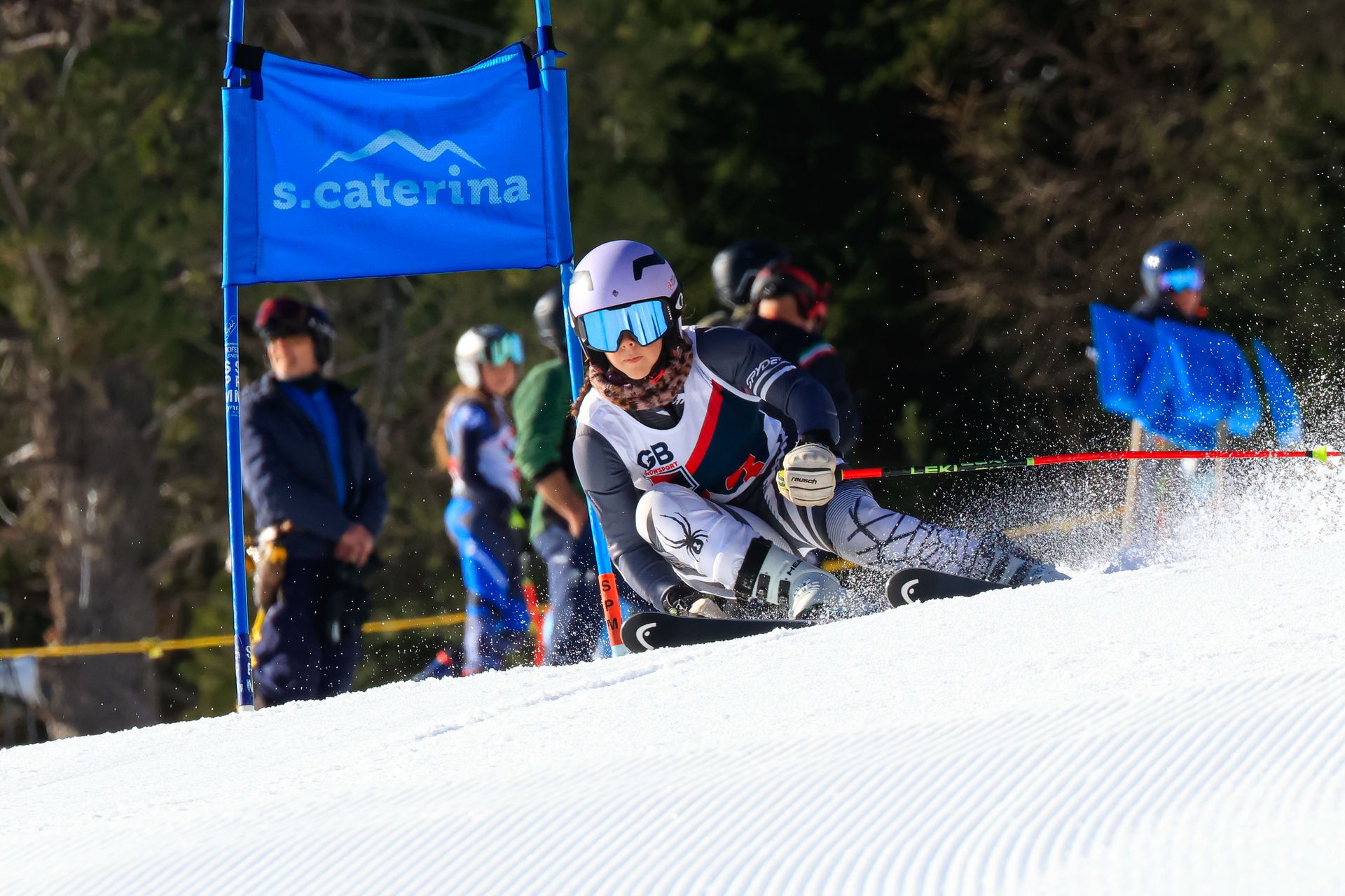 Alpine Ski Race Programme